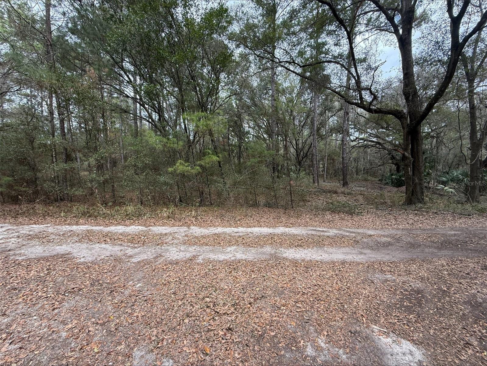 Land in OCALA