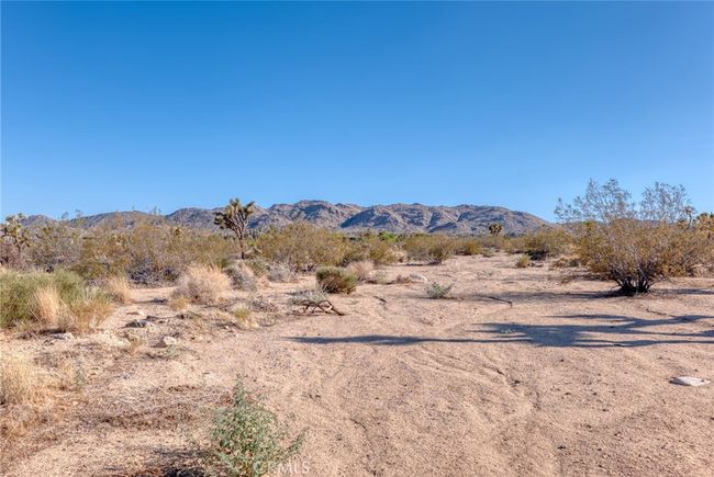 107 Juniper Rd, Home with 0 bedrooms, 0 bathrooms and null parking in Joshua Tree CA | Image 7