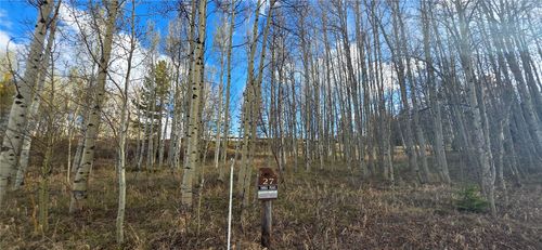 2180 Currant Way, Silverthorne, CO, 80498 | Card Image