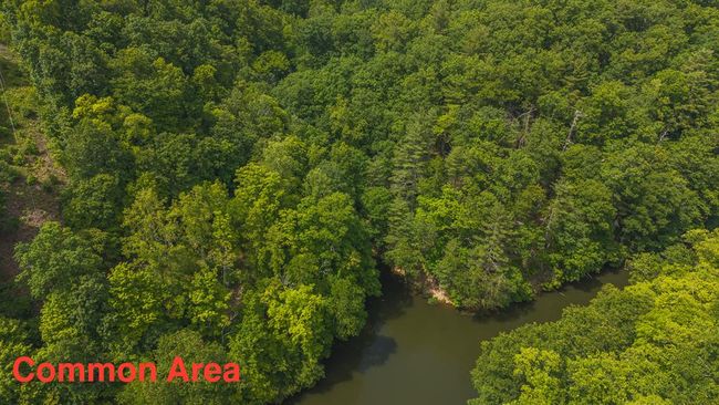 4042 Cabin Land Dr, Home with 3 bedrooms, 3 bathrooms and null parking in Radford VA | Image 41
