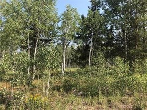 28 Haywagon Trl, Oak Creek, CO, 80467 | Card Image