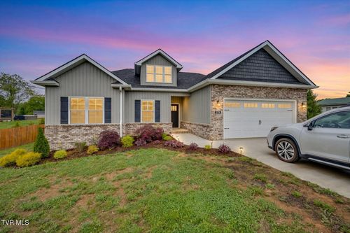 225 Old Stage Rd, Gray, TN, 37615-3822 | Card Image