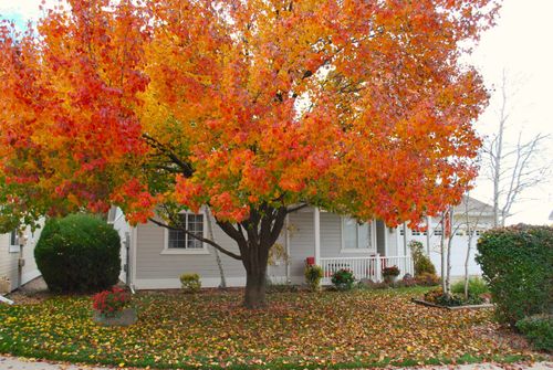 2440 Wellington Ct, Grand Junction, CO, 81501-8131 | Card Image