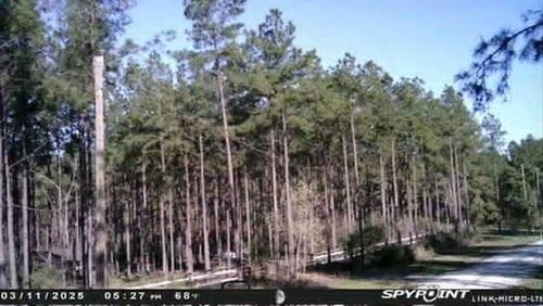 000 Richardson Rd E, Livingston, TX, 77351 | Card Image