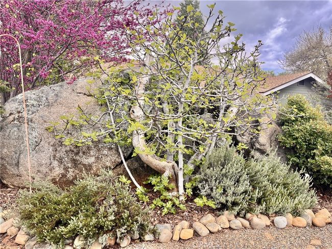 5327 Carleton Rd, House other with 2 bedrooms, 1 bathrooms and 2 parking in Mariposa CA | Image 30