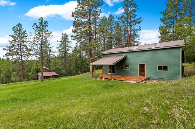 Nice green backyard | Image 33