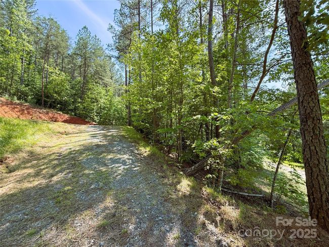 146 S Branch Dr, Home with 0 bedrooms, 0 bathrooms and null parking in Bostic NC | Image 8
