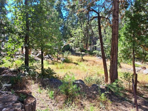 41290 Kokanee Lane, Shaver Lake, CA, 93664 | Card Image