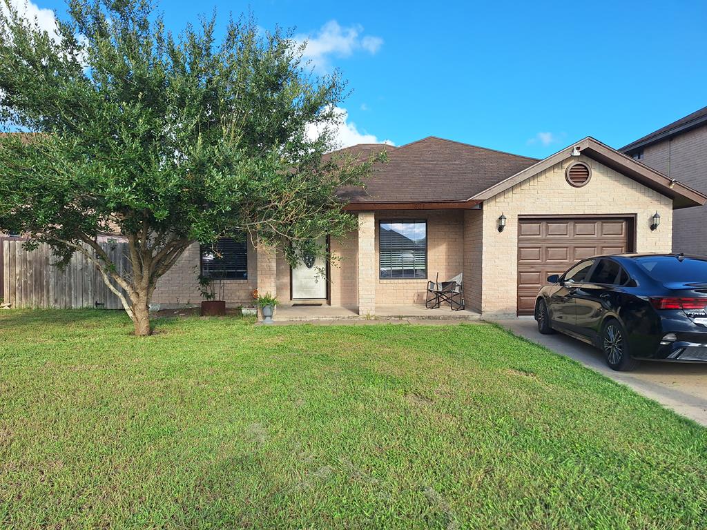 Daffodil , Los Fresnos, TX 78566