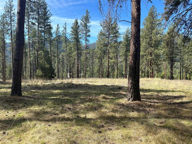 31760 Old Highway 10 W, Home with 0 bedrooms, 0 bathrooms and null parking in Alberton MT | Image 31