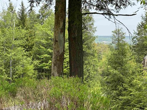 lot-16-tuscan-ridge-Lot 16 Casentino Court, Davis, WV, 26260 | Card Image