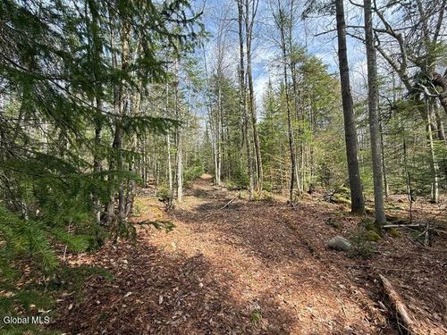 4-L34.4 Old Schroon Rd, Schroon Lake, NY, 12870-2114 | Card Image