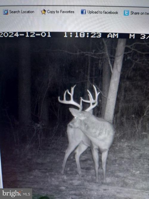 Lot2a Cardinal Ln, SALISBURY, MD, 21801 | Card Image