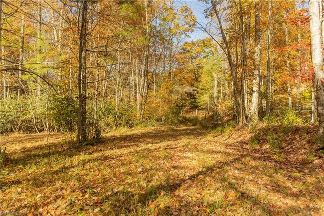 0 Laurel Creek Rd Ne, Home with 0 bedrooms, 0 bathrooms and null parking in Pilot VA | Image 11