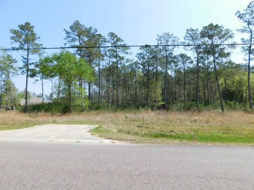 hwy-421-9174 Grizzly Drive, Kountze, TX, 77625 | Card Image