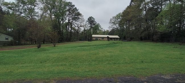 View of green lawn | Image 12