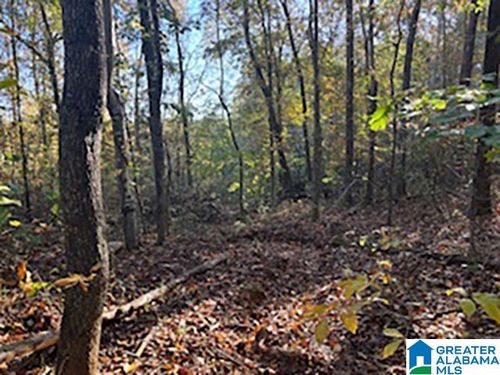 1-0 County Road 624, woodland, AL, 36280 | Card Image