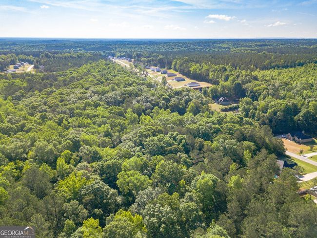 LOT-131 - 0 Hunter Welch Pkwy, Home with 0 bedrooms, 0 bathrooms and null parking in Luthersville GA | Image 11