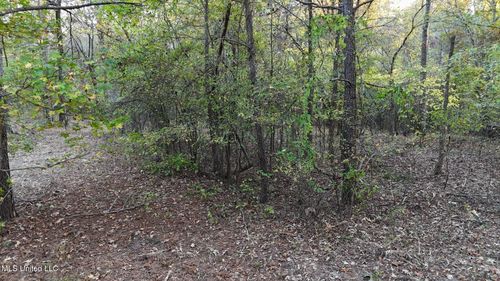 9426 Highway 315, Sardis, MS, 38666 | Card Image