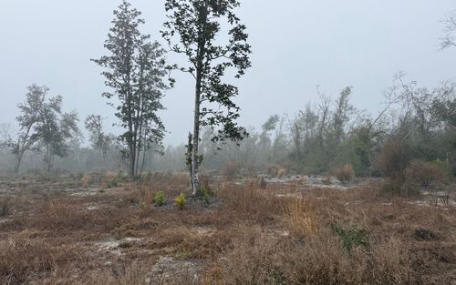 0000 Nw 27th Trl, Jennings, FL, 32053 | Card Image