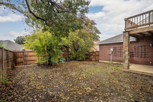 The back yard. | Image 35