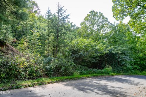 Lot 13 Lexy Ln, Sevierville, TN, 37862 | Card Image