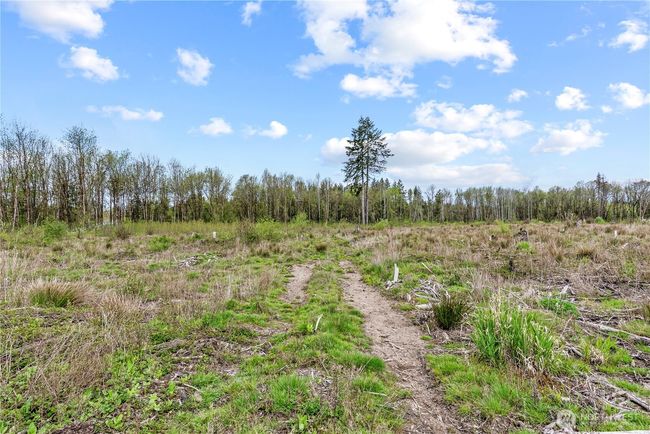 4949 Jackson Hwy, Home with 0 bedrooms, 0 bathrooms and null parking in Toledo WA | Image 28
