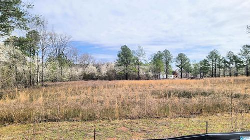 1085-1019 Chancellors Ferry Loop, HARPERSVILLE, AL, 35078 | Card Image