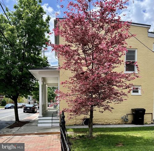 321 N Braddock St, WINCHESTER, VA, 22601-3919 | Card Image