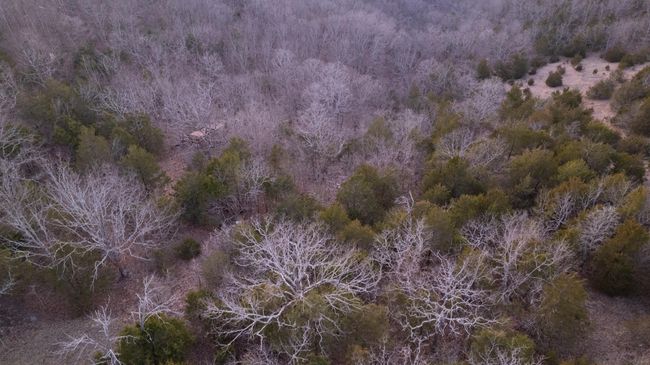 DJI_0841 | Image 13