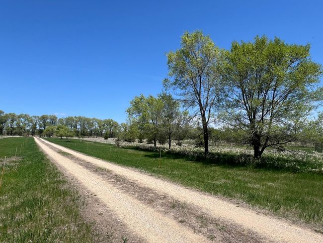 Driveway - Towards Highway 7 - View To South | Image 52
