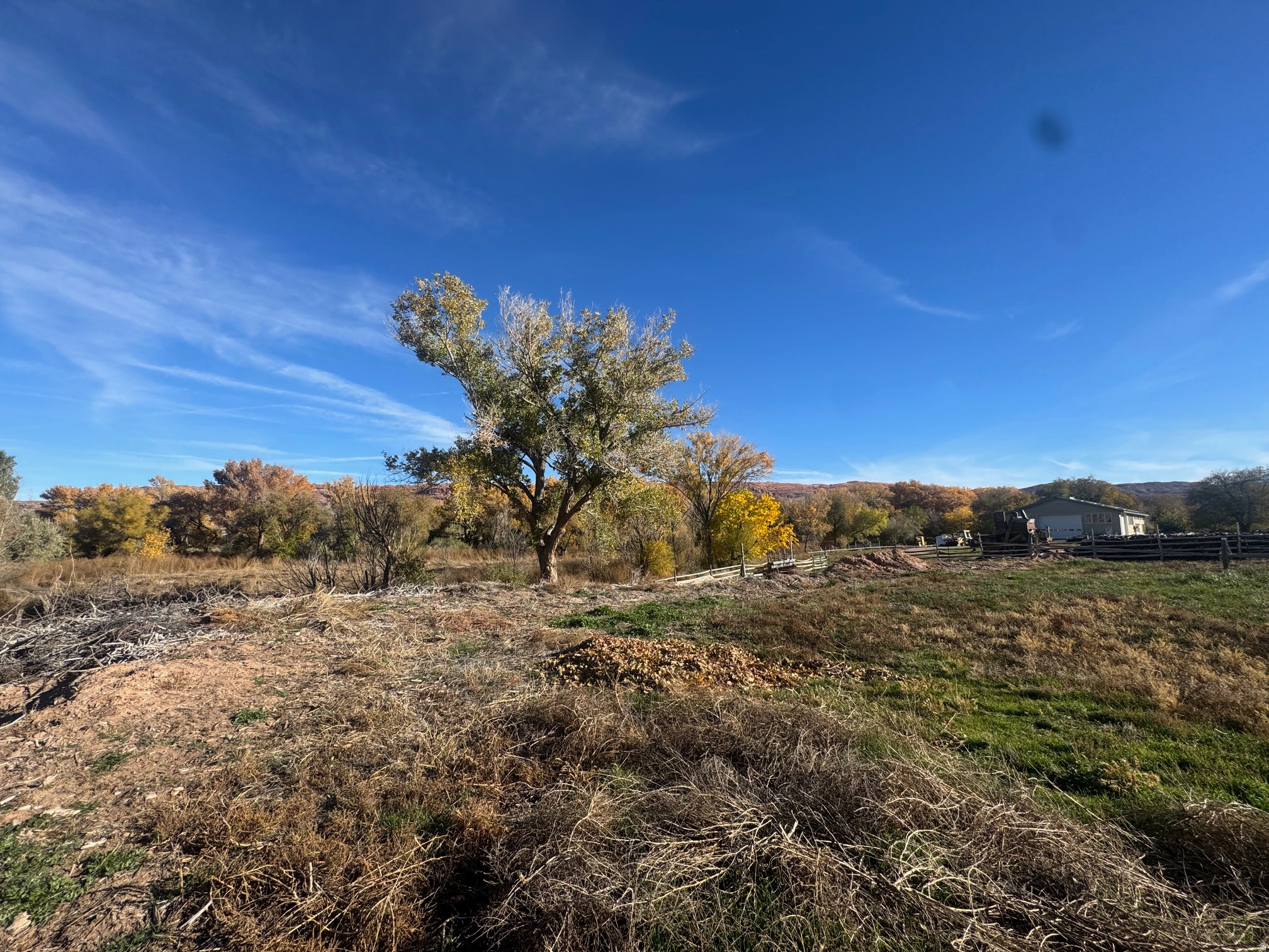 Land in Moab 2