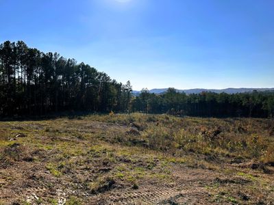 Views to the west from the property | Image 1