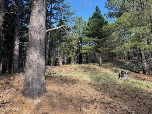 5770 White Tail Ln, Flagstaff, AZ, 86005 | Card Image