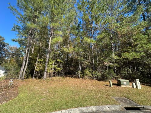 2024 Briar Bend Road, Ridgeville, SC, 29472 | Card Image