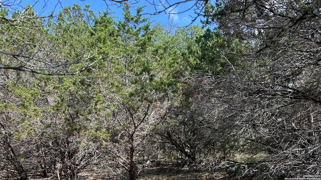 121 Agarita Dr, Home with 0 bedrooms, 0 bathrooms and null parking in Spring Branch TX | Image 4