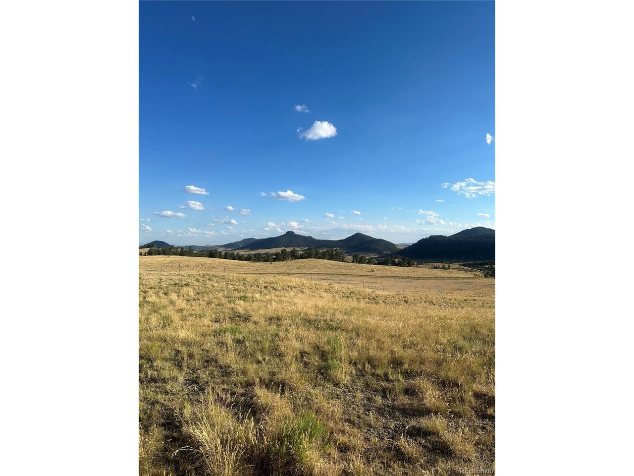 Land in Florissant 3
