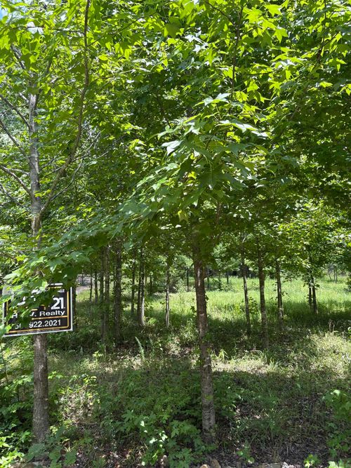 3 Ballobar Cir, Hot Springs Village, AR, 71909-6735 | Card Image