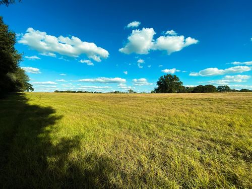 00 Lcr 890, Jewett, TX, 75846 | Card Image