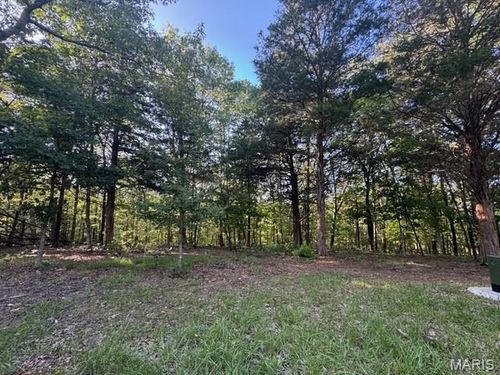 130 Steeple Point Dr. Lot #12 Drive, Defiance, MO, 63341 | Card Image