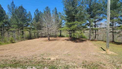 0 County Road 373, Crane Hill, AL, 35053 | Card Image