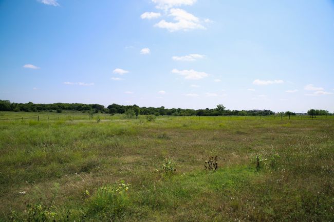 pasture for development | Image 19