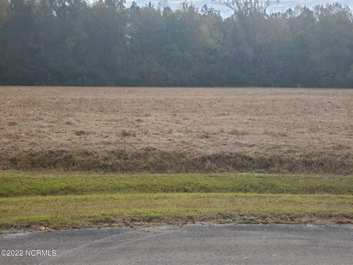 76 Eagle Nest Trl, Blounts Creek, NC, 27814 | Card Image
