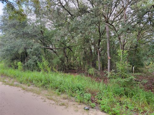 0 Ne 110th Ave, BRONSON, FL, 32621 | Card Image