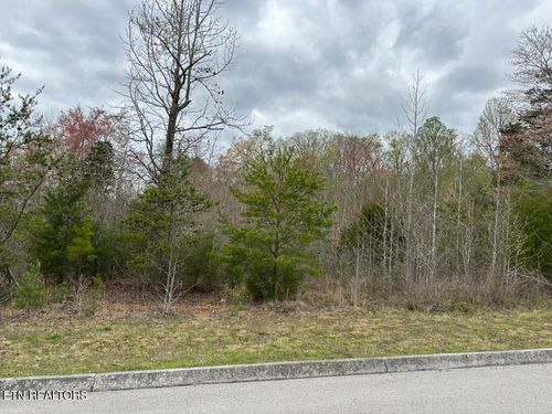 309 Caney View Dr, Harriman, TN, 37748 | Card Image