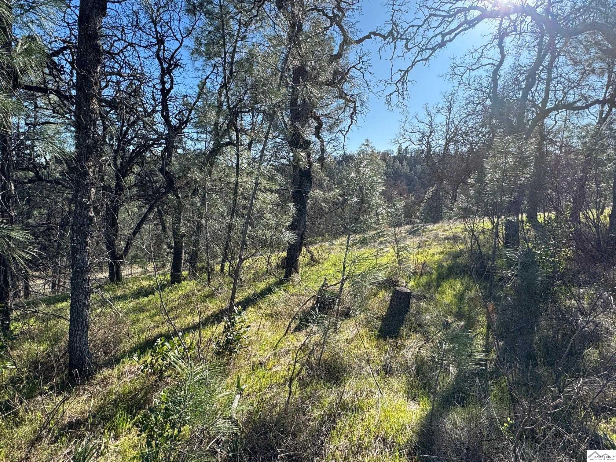 Land in Corning 5