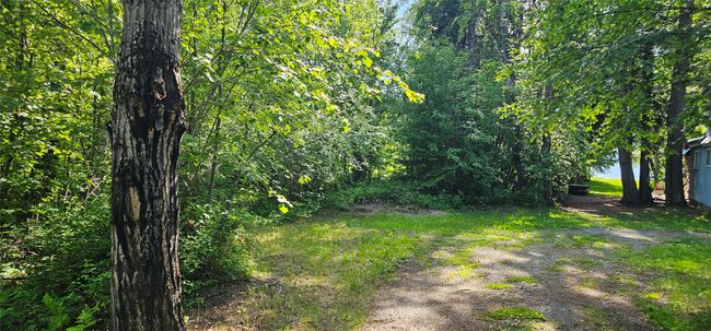 View of yard | Image 16