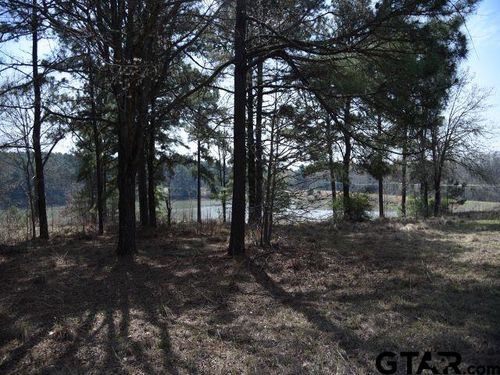 Lot 13 Acr 450, Montalba, TX, 75853 | Card Image