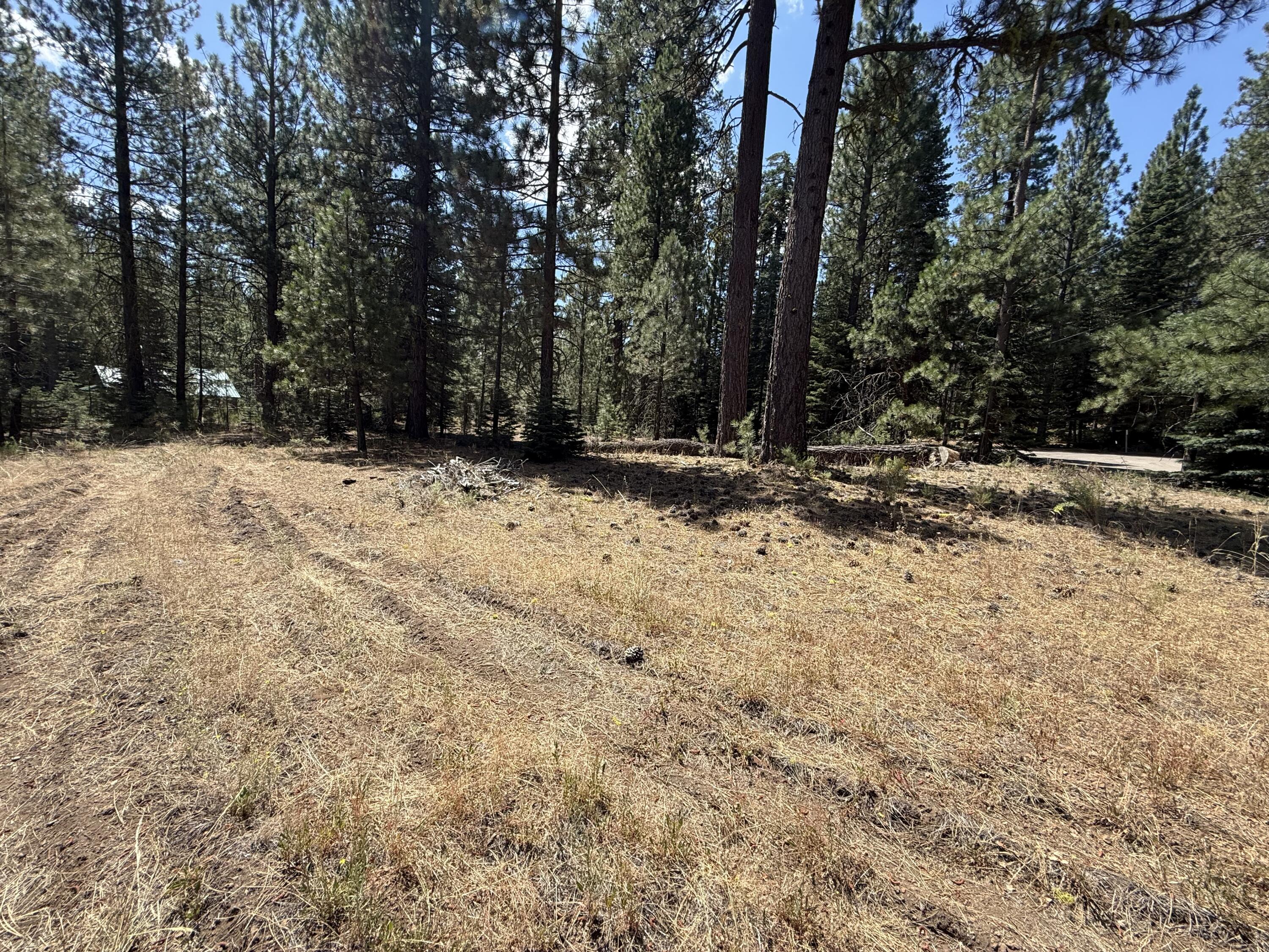 Land in Old Station 3