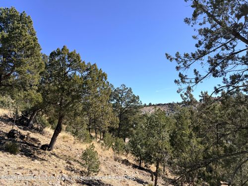 Lot T43C Bobcat Trl, Alto, NM, 88312 | Card Image
